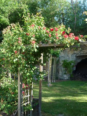 A garden with a wooden pergola covered in climbing roses.