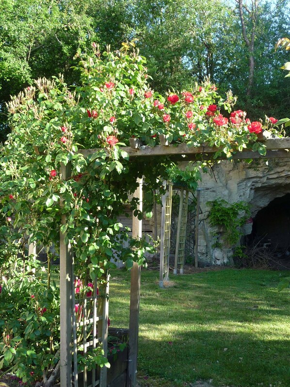 المنطقة المحيطة بالمنشأة