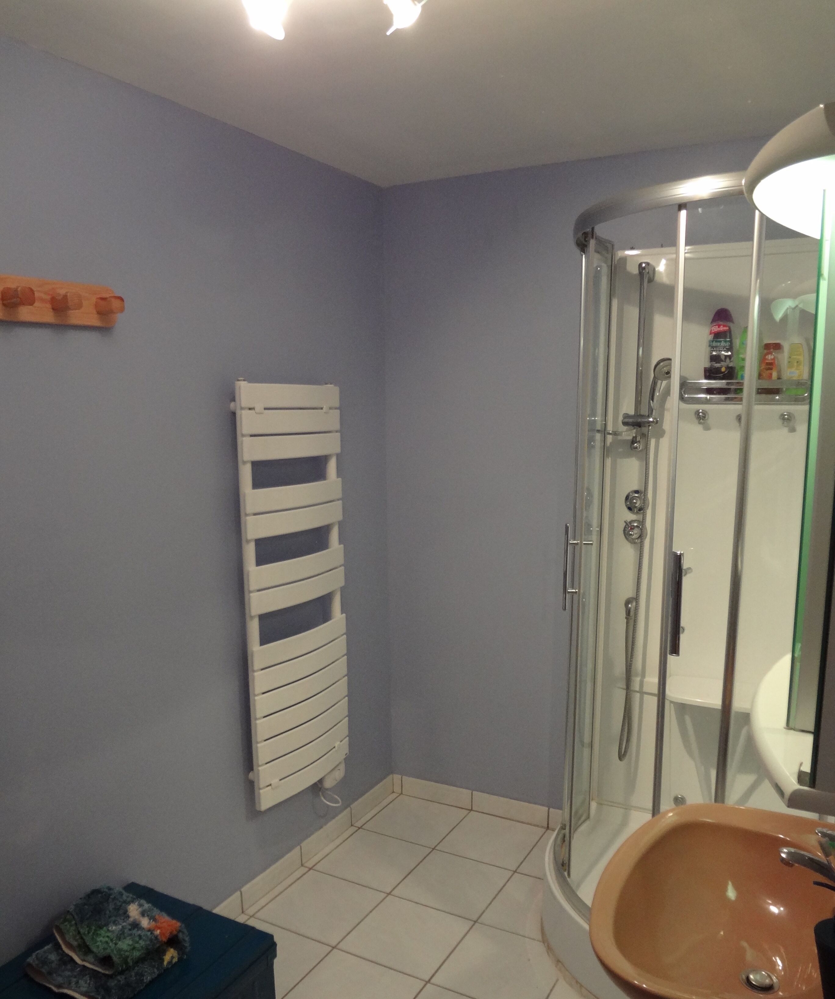 A bathroom with a glass shower enclosure, a white radiator, and a sink with a mirror.