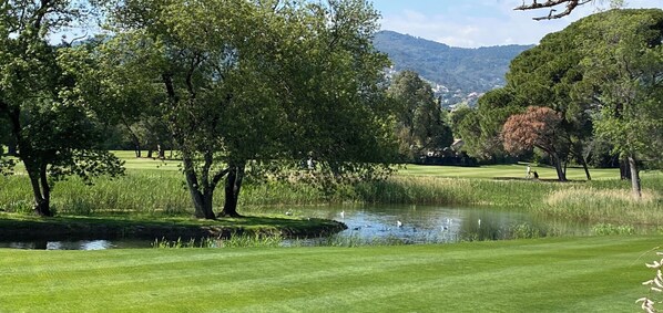 En golfbane med en sø, træer og et bjerg i baggrunden.