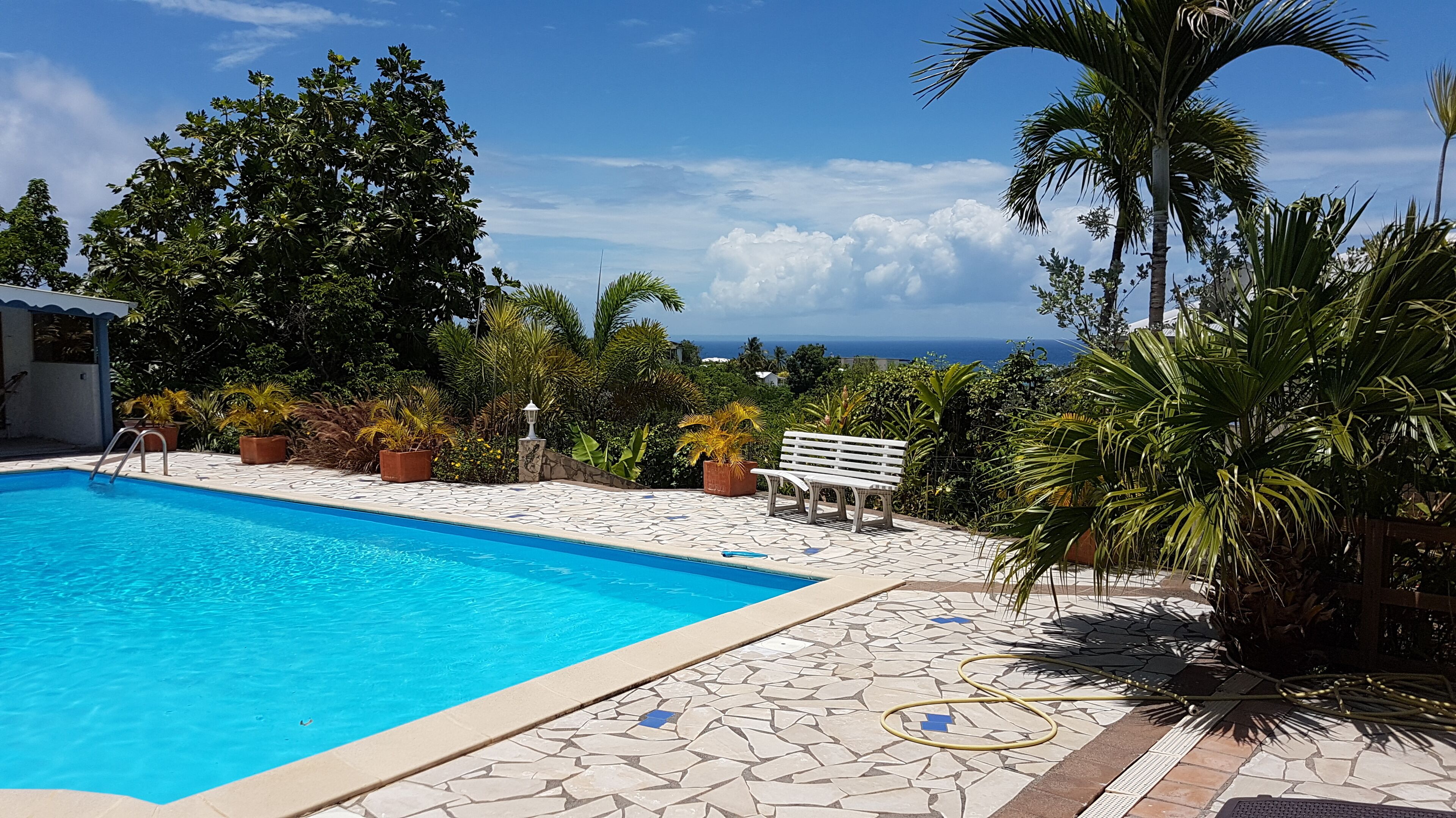 A swimming pool with a stone tiled deck, surrounded by lush greenery and a bench.