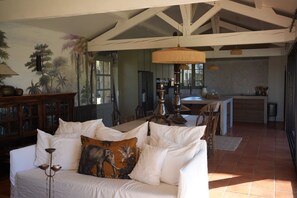 Télévision, cheminée, lecteur de DVD, livres