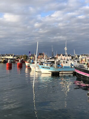 Marina