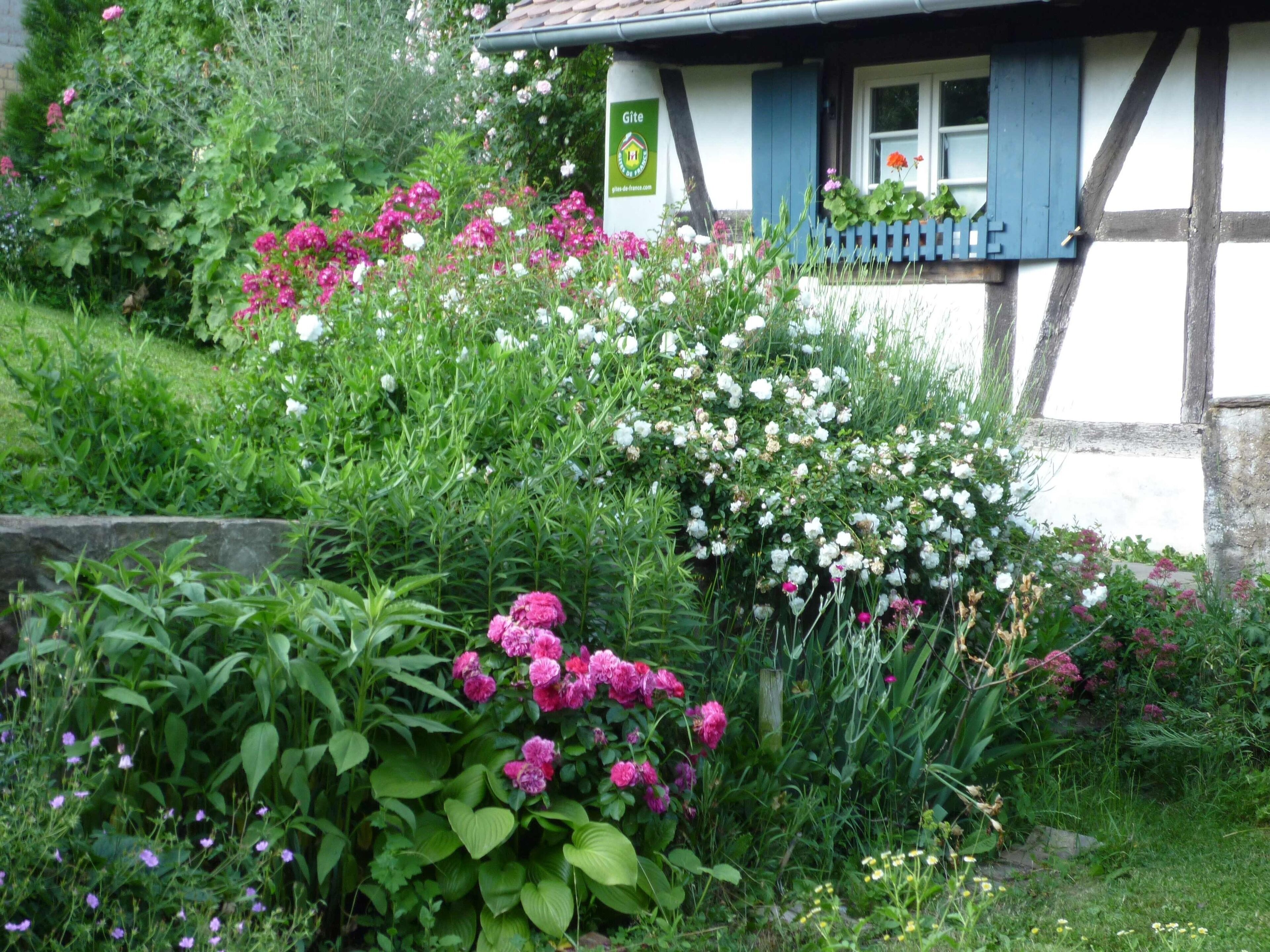 A garden with a variety of flowers and plants in front of a traditional half-timbered house.