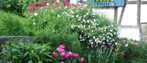 A garden with a variety of flowers and plants in front of a traditional half-timbered house.