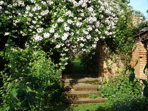 CHARMING half-timbered house, lovely English-style GARDEN Near Saverne