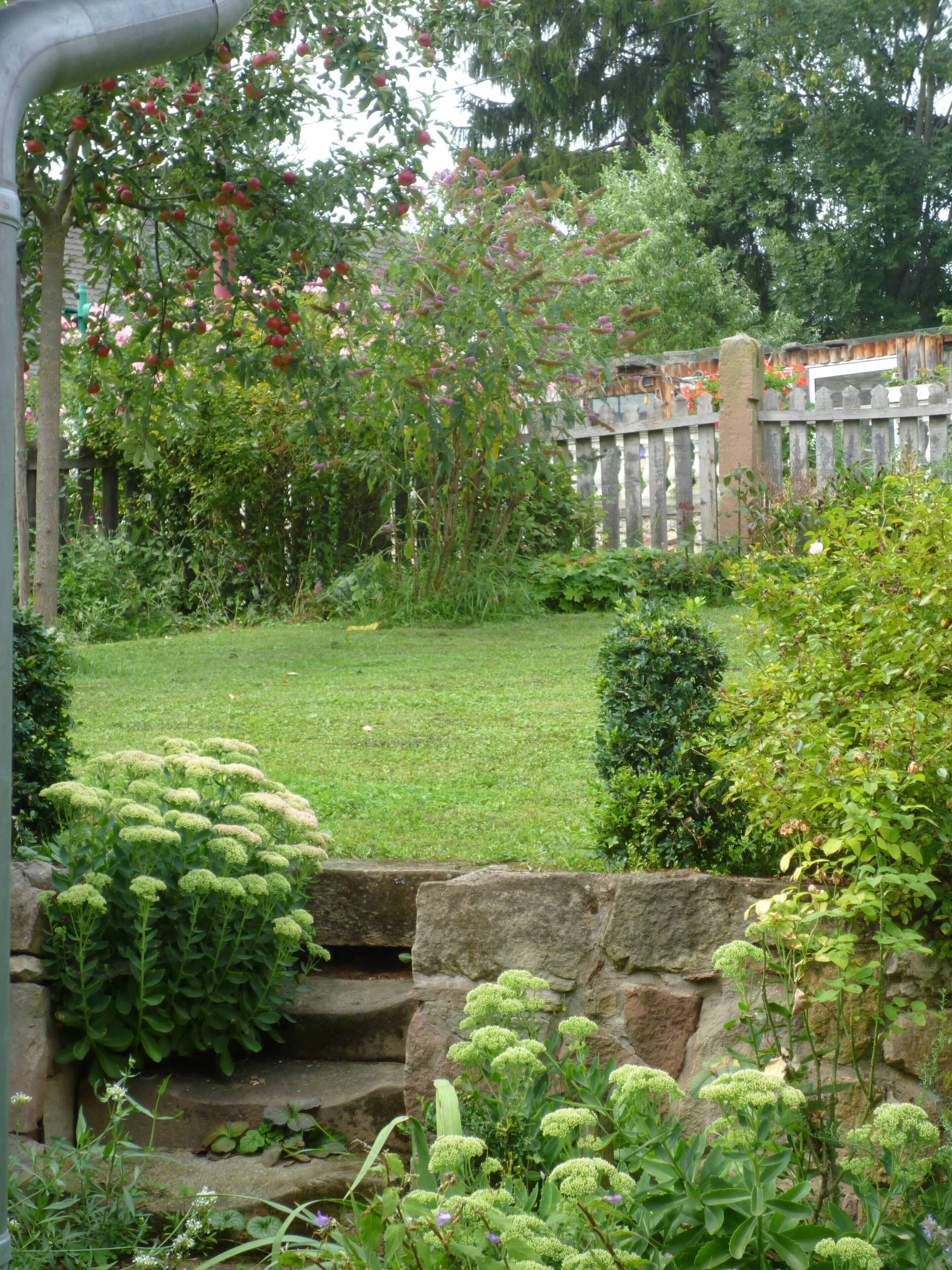 A garden with a stone wall, various plants, and a wooden fence.