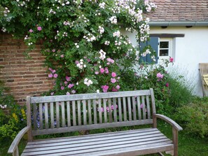 Property grounds - CHARMING half-timbered house, lovely English-style GARDEN Near Saverne (Furchhausen)
