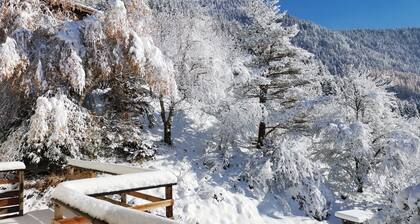 Studio de 60 m2 en rez de jardin,plein sud.terrase plein sud vue exceptionnelle