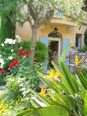 Detalle exterior
