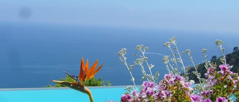 Piscina all'aperto, una piscina riscaldata