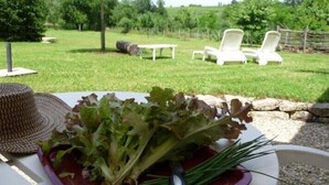 Uma área de jardim com mesa, cadeiras e um chapéu.