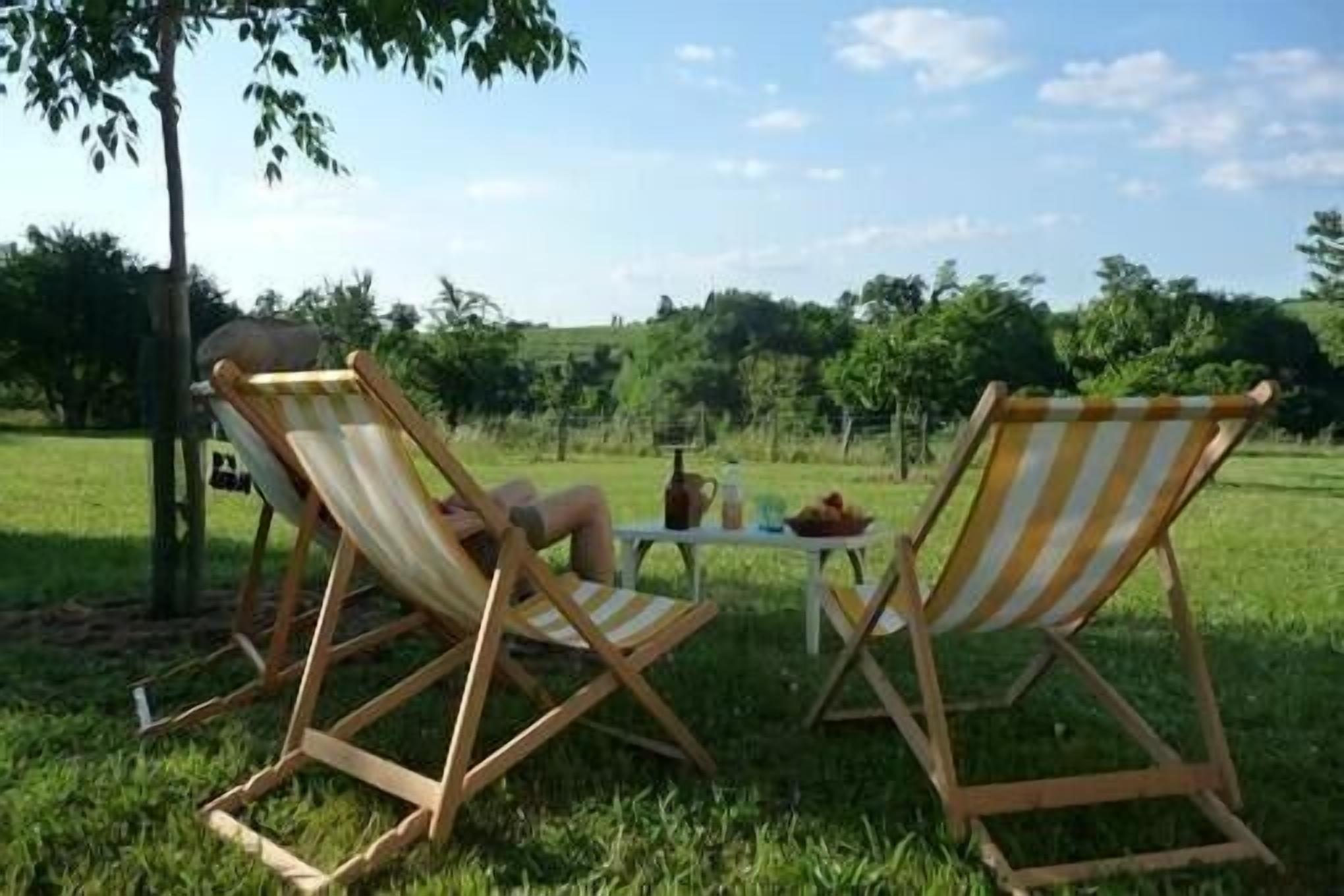 Two striped lounge chairs facing each other with a small table between them, set in a grassy outdoor area with trees in the background.