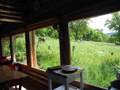 Meet with unusual⊠you will experience a change of scene! Private spa jacuzzi.