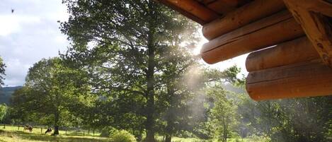 Área da propriedade