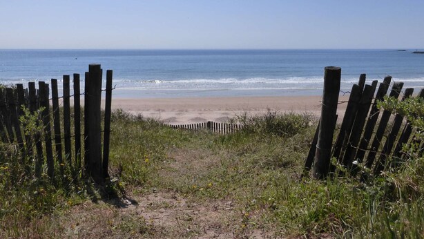 A beach path leading to the ocean with a wooden fence on either side.