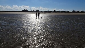 A beach with people walking and a dog.