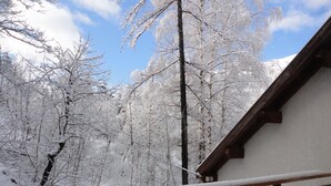 Holzgeländer eines Balkons mit Blick auf einen verschneiten Wald, kahle Bäume und einen klaren, blauen Himmel.