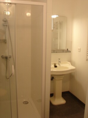 Shower, hair dryer, toilet paper