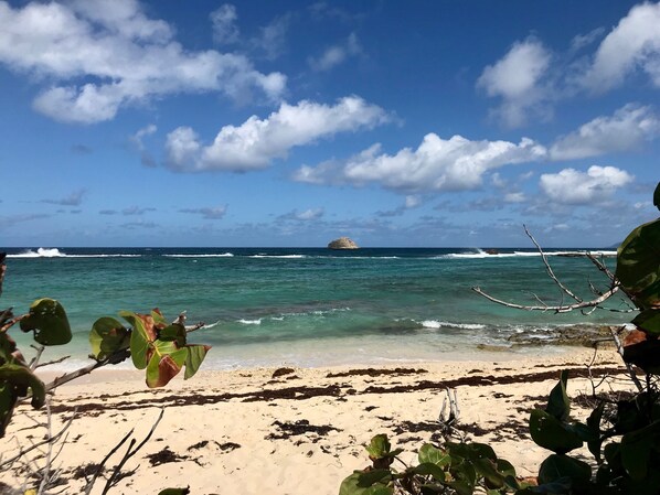 Beach nearby, beach towels