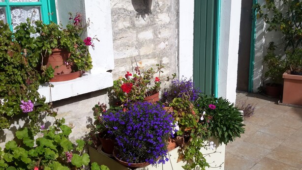 A courtyard with potted plants and flowers, a stone wall, and a door with a green frame. - independent house in property retaise for 4 people (Le bois plage)