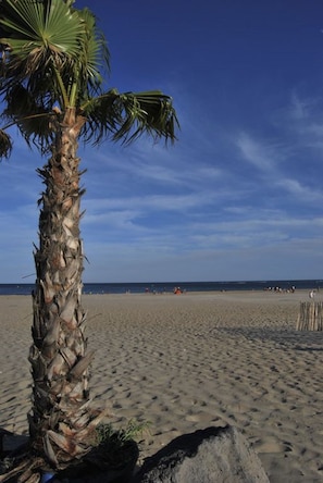 Beach nearby, sun-loungers