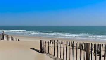 Playa en los alrededores y camastros