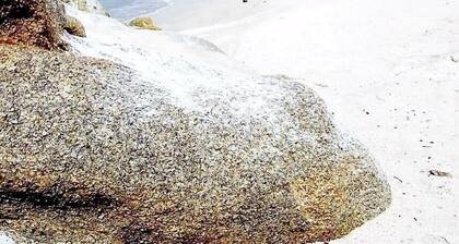 House and terrace with sea view in Aber Wrac'h