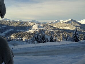 Sneeuw- en skisporten