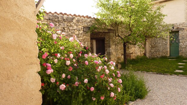 En bygning i sten med rustik karakter, en grussti og blomstrende lyserøde roser.
