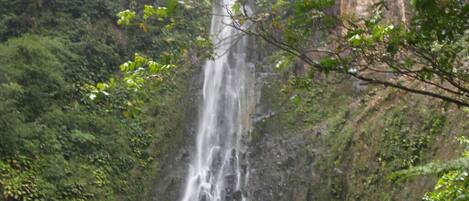 Une cascade se déversant le long d’une falaise abrupte, entourée d’une végétation luxuriante.