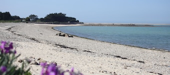 Haus mit Meerblick, Spa (Jacuzzi), Zugang zum Strand am Ende des Gartens!