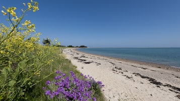 Strand | Vlak bij het strand