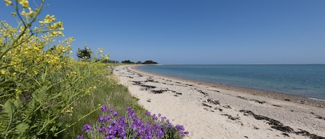 Una spiaggia nelle vicinanze