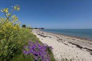 Plage à proximité