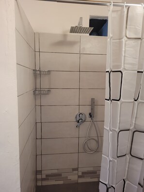 Shower, hair dryer, bidet, towels