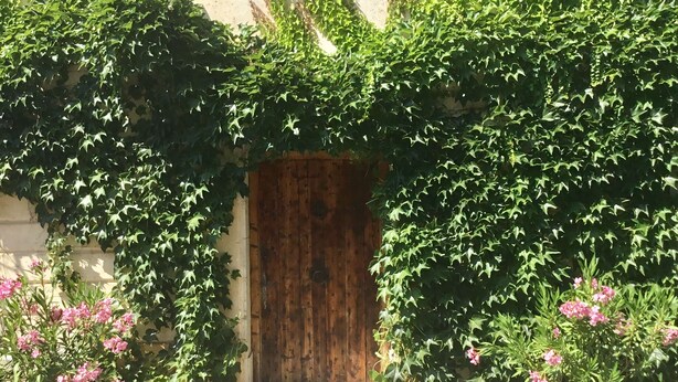 A wooden door surrounded by lush green foliage, with two flower pots on either side. - OLD BUILDING Pool, Garden and Terrace views towards GORDES and JOUCAS (Goult)