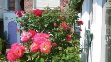 DĂ©tail de lâextĂ©rieur