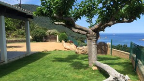 Un arbre dans une cour verdoyante, avec vue sur l’océan.