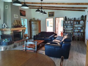 Télévision, cheminée, lecteur de DVD, livres