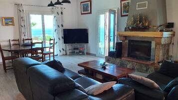 Télévision, cheminée, lecteur de DVD, livres