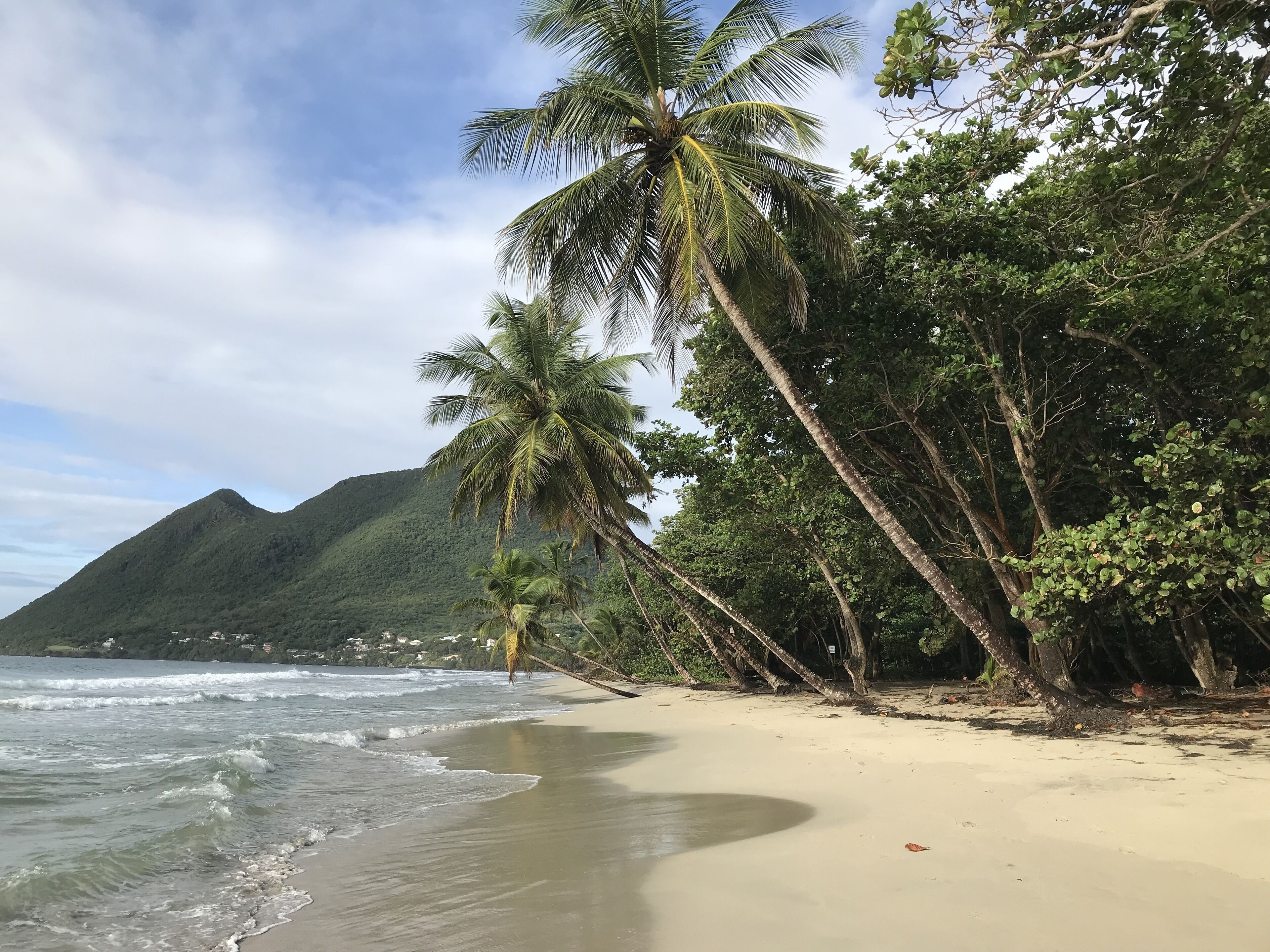 On the beach, sun loungers