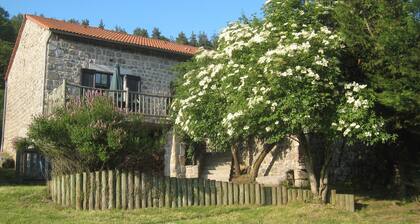 Near Lake Naussac