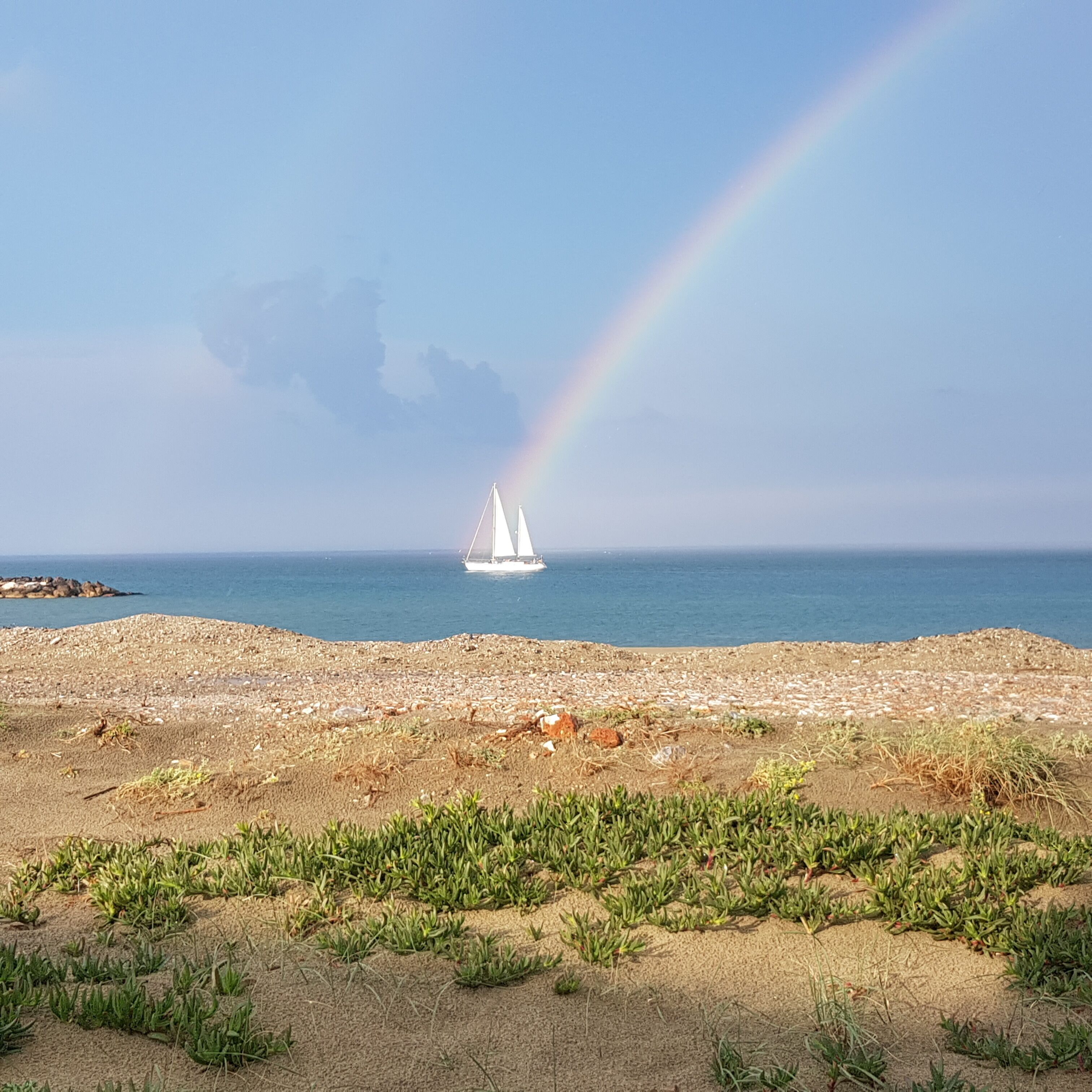 Plage, chaises longues