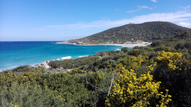 A coastal landscape with a hill, beach, and dense vegetation. - Villa, near Ile Rousse and the sea, lake and mountain view (Santa-Reparata-Di-Balagna)