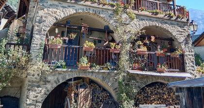 Großes, helles Studio in Briançon, in der Nähe der Skipisten.
