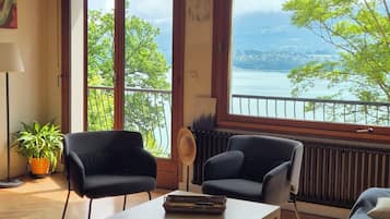 Télévision, cheminée, lecteur de DVD, table de tennis de table