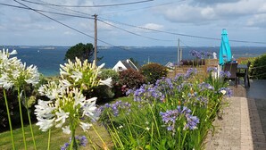 Ein Garten mit Blumen und Blick auf das Meer.