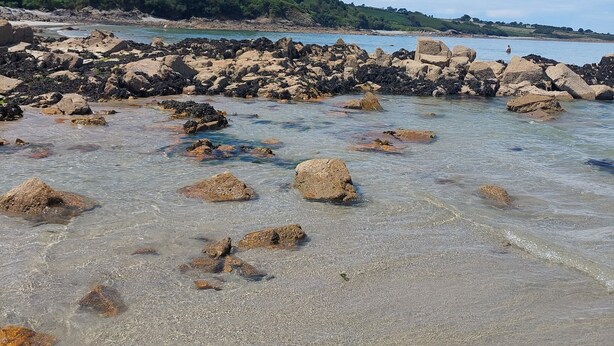 Ein Strand mit klarem, flachem Wasser, felsigem Ufer und einem bewaldeten Hügel im Hintergrund.