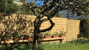 A tree in front of a wooden fence with potted plants on the fence. - Detached family home south brittany less than 200 m from the beach  (Larmor-Plage)